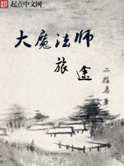 大魔法师旅途